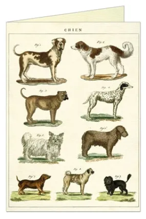  Dogs  Card