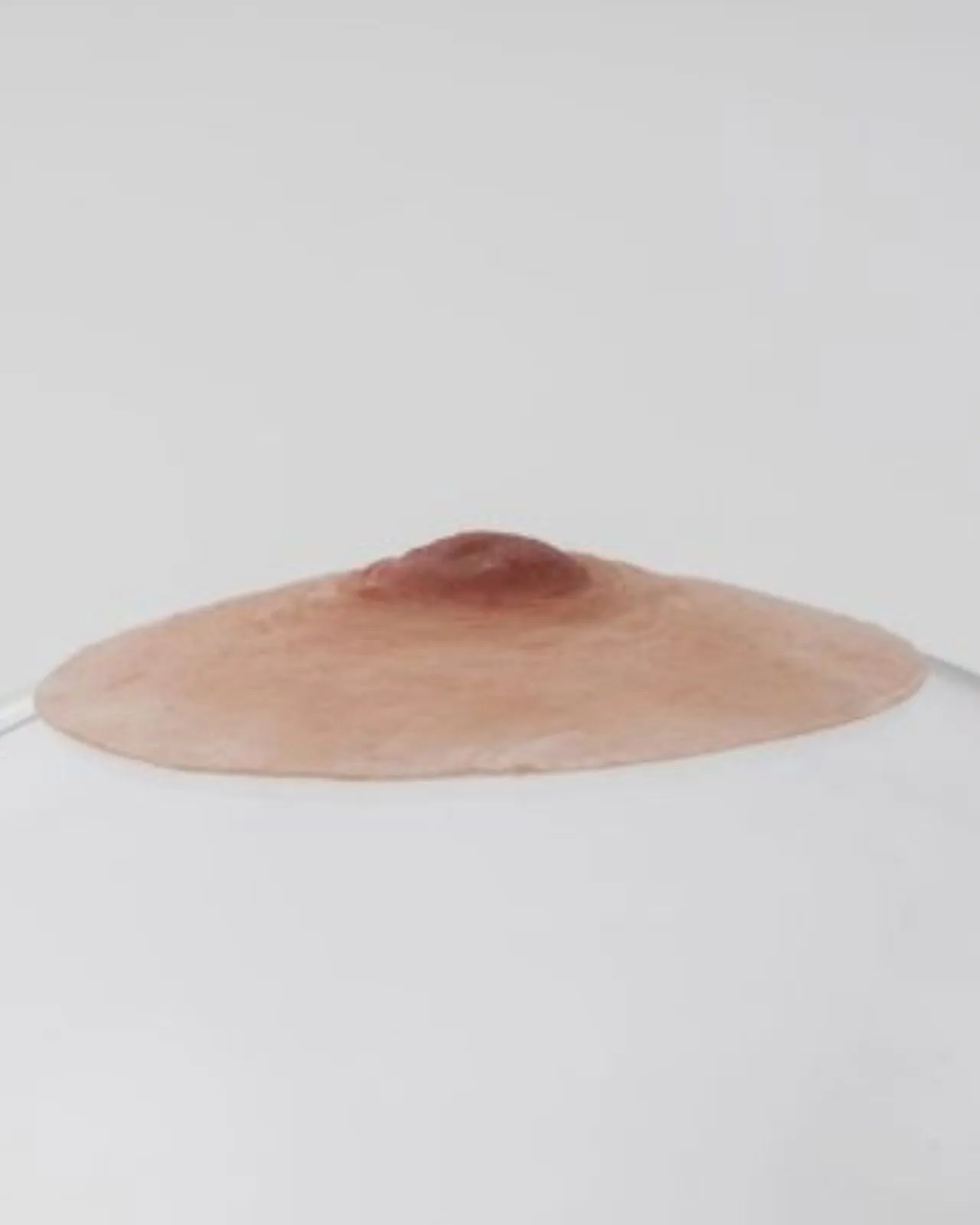 Pink Perfect Natural Prosthetic Nipples